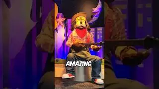 Редчайшая сцена Чака И. Чиз! #SavePineville #SaveThe3Stage #chuckecheese #savepineville3stage