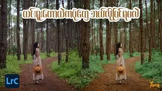 HOW TO EDIT PINE TREE ORTRIAT IN LIGHTROOM - Photography - Lightroom - Photoshop - Knowledge Sharing