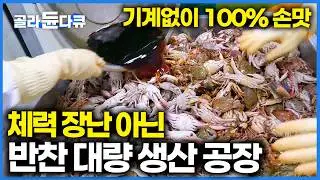 하루에 2톤! 주부들 반찬 걱정 끝. 멍하니 보게되는 경이로운 40가지 반찬 대량 생산 공장ㅣ극한직업ㅣ#골라듄다큐