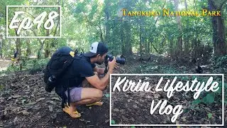 【KIRIN Lifestyle Vlog】Ep48-タンココ国立公園で世界一小さなサル「タルシウス」に出会う｜Tangkoko National Park, Indonesia