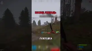 Шахид лошадь в RUST #kello #rust #лут #ловушка
