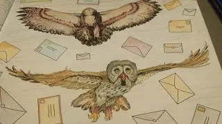 Harry Potter (coloring book) Owls