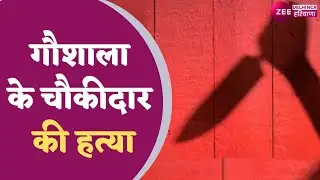 Hisar : गौशाला के चौकीदार की हत्या, 40 साल के सोनू उर्फ योगेश की हत्या | Haryana | Latest Hindi News