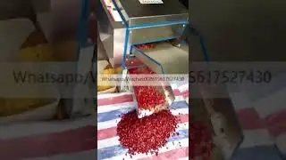 High Efficiency Automatic Dry Red Pepper Chili Stem Cutting Machine dry Chili   #machine #food