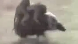 Motor fantasma(1)