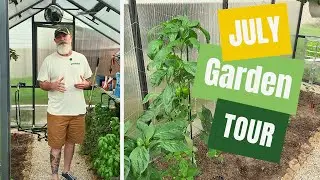 Greenhouse Gardening in Summer in Texas