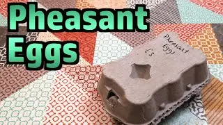 Pheasant Eggs - Try Something Different!
