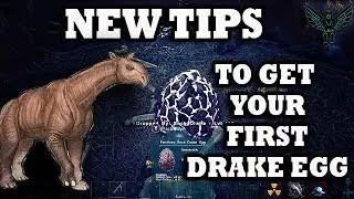 New Huge tips to get your first drake egg on foot successfully!