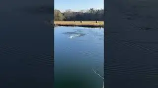 Pro Boat Recoil 2 18&rdquo; on glass out of the box!