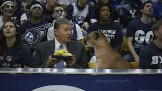BYU Basketball Real Cougar Commercial