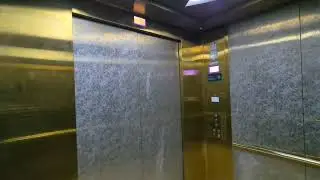 ThyssenKrupp EVOLUTION Lift - Wafi City, Umm Hurair, Dubai, UAE