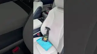 Leather Seat Care // 2025 Kia Carnival SX Prestige