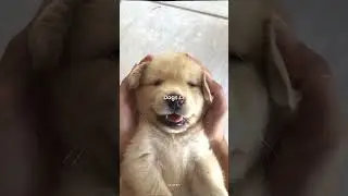 @ratankarki489