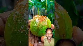 🍋 Amrud Cutting Masala | Street Style Chatpata Taste#guava #fruitcutting#shorts