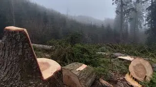 Neco málo mezi svátky,🌲🪵🪓🤗599-2025