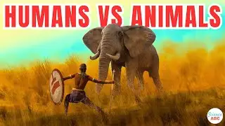 What Separates Humans From Animals?