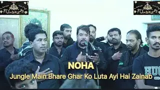 Jungle Main Bhare Ghar Ko Luta Ayi Hai#zainab #noha #anjuman PARWANE QASIM ۴#19safar #live #karbala 