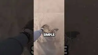 Rescued Baby Seal Came Back To Thanks ❤️ (@OceanConservationNamibia )