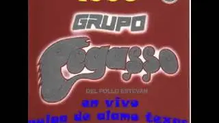 Pegasso del pollo estevan en vivo en la pulga de alamo (1996)