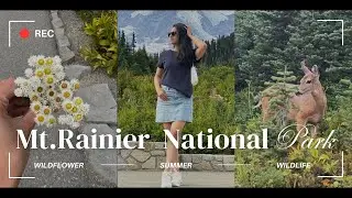 Mt. Rainier National park 🗻|Seattle|kannada #pnw #Washington #nationalpark #summer #kannada #youtube