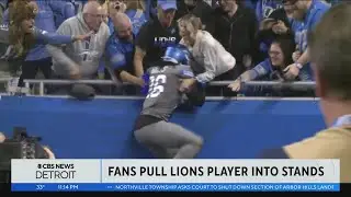 Fans experience 