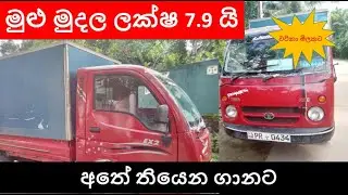 Dimo batta for sale|Low price|lorry