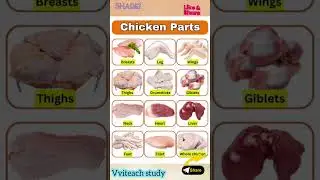 👉chicken parts name| today current affairs| mening chicken all cut piss body parts| #new #viral vvi