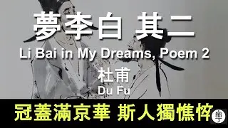 #杜甫 夢李白二首·其二 : 冠蓋滿京華，斯人獨憔悴 #唐詩 古體 #粵語 遂句解釋 幫助記憶 Du Fu Translated