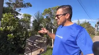 Quem Carrega a Gaiola Assim Não é Passarinheiro 😂🐦
