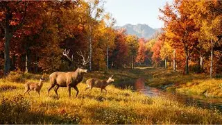 Relaxing Autumn Nature Scenery | Stress Relief Nature Video