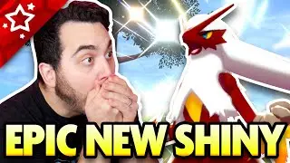 Cluck this video if you like Chicken.