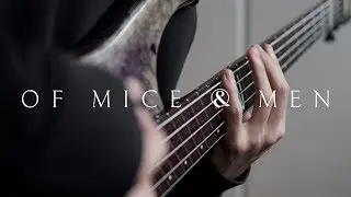 Of Mice & Men - Taste of Regret | Bass Cover