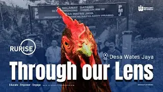 Desa di Kabupaten Bogor Ini Menggunakan Ayam Untuk Pertanian Regeneratif