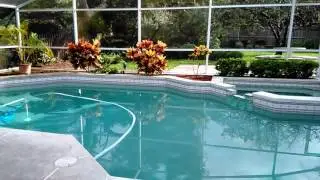 Stunning Pool and Patio of 10012 Silver Bluff