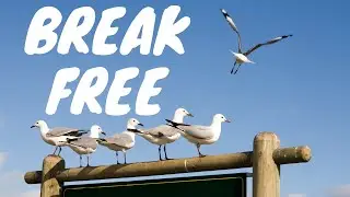 Opening your mind to become a Full Time Stock Trader