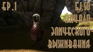 Выживание в ARK: Survival Evolved - убийственное начало, Паразуролоф, Черепахе плохо [ep1]
