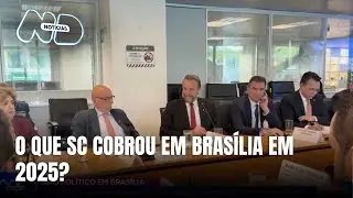 Retrospectiva: as principais pautas dos parlamentares de SC em 2025