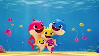 Baby Shark Doo Doo