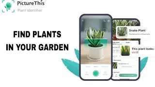 How To Find Plants In Your Garden On PictureThis App