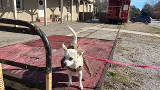 Branchville South Carolina Adventure