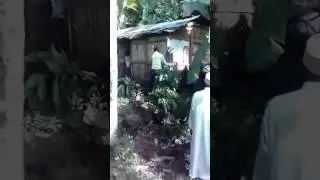 Maoueni itsandra