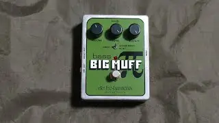 Pond - bass BIG MUFF