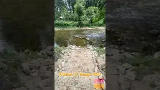 【探索EXP】 Azlan D' Sungai 河畔 &middot; 近打河雨林放松时刻 #近打 #KintaRiver #大自然疗愈 #healingnature #rainforest #asmrnature