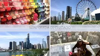 Mini guida di Chicago