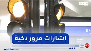 فارس بورياشي  .. ابتكار إشارات مرور ذكية انطلاقتها من ورقلة