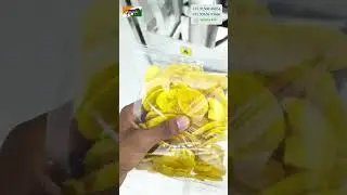 Fully automatic pouch packing machine
