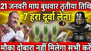 21 जनवरी माघ बुधवार तृतीया तिथि के दिन 7 हरा दूर्वा वाला उपाय जरुर करे || Pradeep Ji Mishra 
