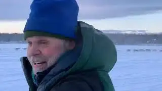 Прямой эфир &mdash; официальная репортаж с масс-старта гонки на собачьих упряжках Willow 300 2020 года.