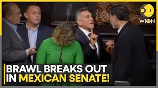 Fight Breaks Out in Mexican Senate Between Chamber President and Opposition Leader | WION