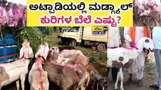 ಅಟ್ಪಾಡಿಯಲ್ಲಿ ಮಡ್ಗ್ಯಾಲ್ ಕುರಿಗಳ ಬೆಲೆ ಅಷ್ಟು ಅಗ್ಗವೇ? ಕುರಿ ಮಾರುಕಟ್ಟೆ ಅಟ್ಪಾಡಿ? Sheep Market Atpadi 2025